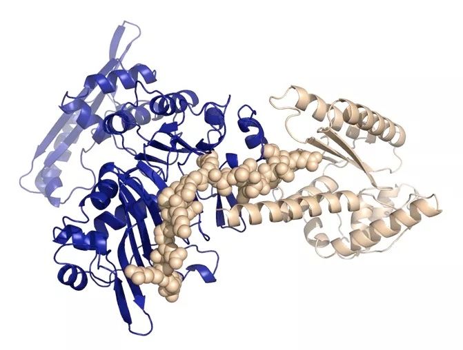 Title image for LU-Fold and NBIS join forces to Enhance Protein Structure Prediction Services at SciLifeLab